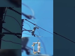 cao chất lượng bảo hiểm cắt 40,5 kv polymer hoặc gốm rơi ra bảo hiểm cắt